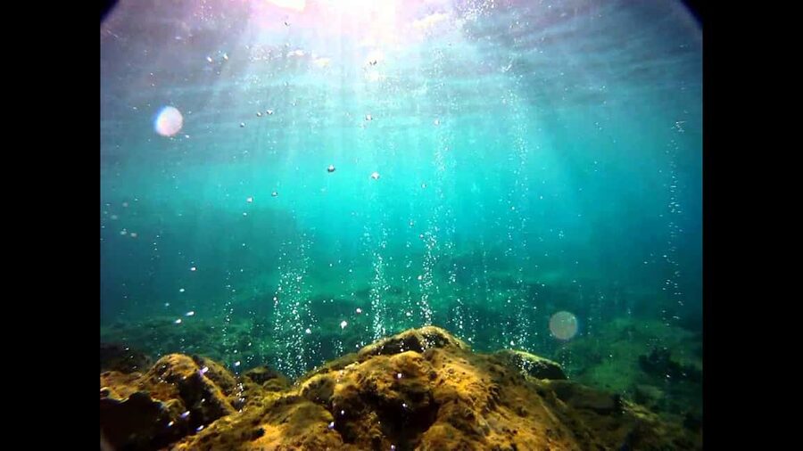 Roseau: Titou Gorge, Hot Spring, Falls & Champagne Reef Tour - Titou Gorge Swim: Slot Canyon Thrills With Real Water-Time