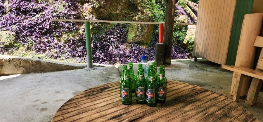 Roseau: Titou Gorge, Hot Spring, Falls & Champagne Reef Tour - Botanical Gardens and Morne Bruce Views: Slower Green Time