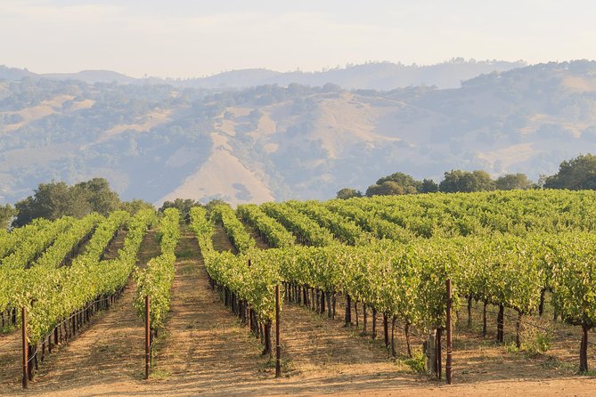 Russian River Weekend Wine Tasting & Gourmet Lunch - Hook and Ladder Winery: boutique pacing and real grounds time