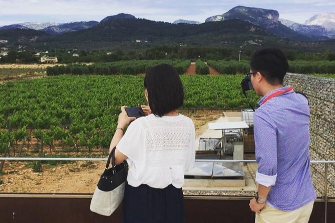 Sa Clasta Mallorca Wine Tours - Two Wineries in the Heart of Mallorca (and They’re Different on Purpose)