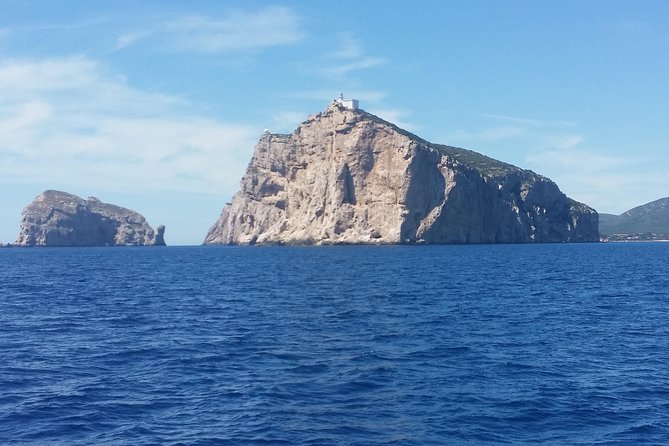 Sailing day trip on Tall Ship Andrea Jensen with Lunch and Wine - Swim and Snorkel Time in a Secluded Bay