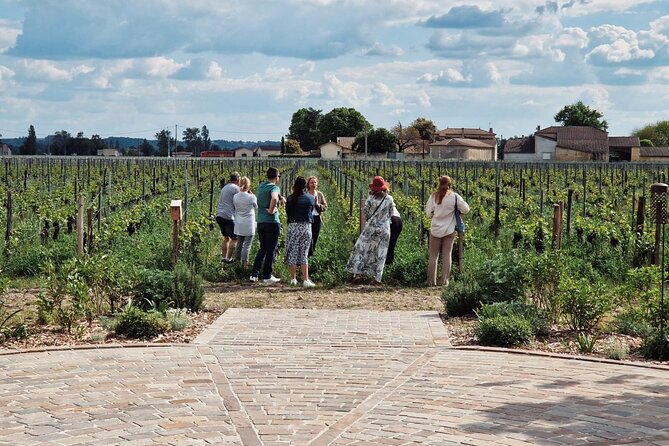 Saint-Emilion Afternoon Wine Tour - 2 Wineries & delicacies - Why the Saint-Émilion afternoon format is so good