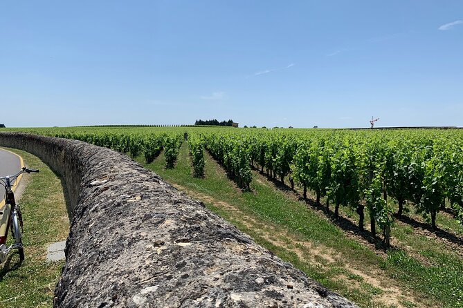 Saint-Emilion Afternoon Wine Tour - 2 Wineries & delicacies - Stop at a Grand Cru château: where the wine story starts