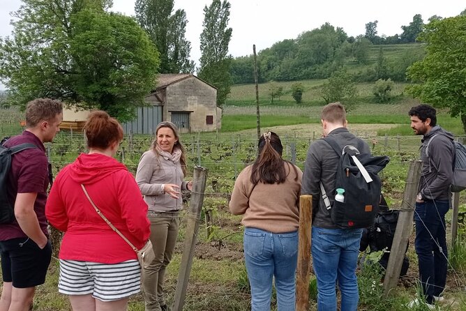 Saint-Emilion Afternoon Wine Tour - 2 Wineries & delicacies - What you actually get to taste (and why you should care)
