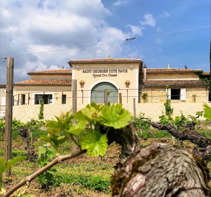 Saint-Émilion: Bordeaux Vineyard Tour and Wine Tasting - How the medieval village ties in (without stealing your time)