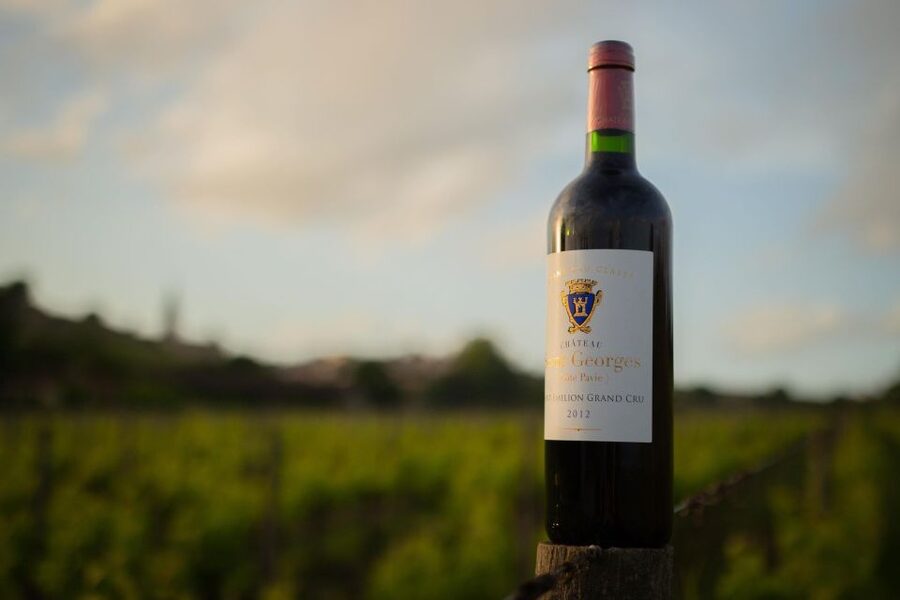 Saint-Émilion: Bordeaux Vineyard Tour and Wine Tasting - Who should book this tour, and who should skip it
