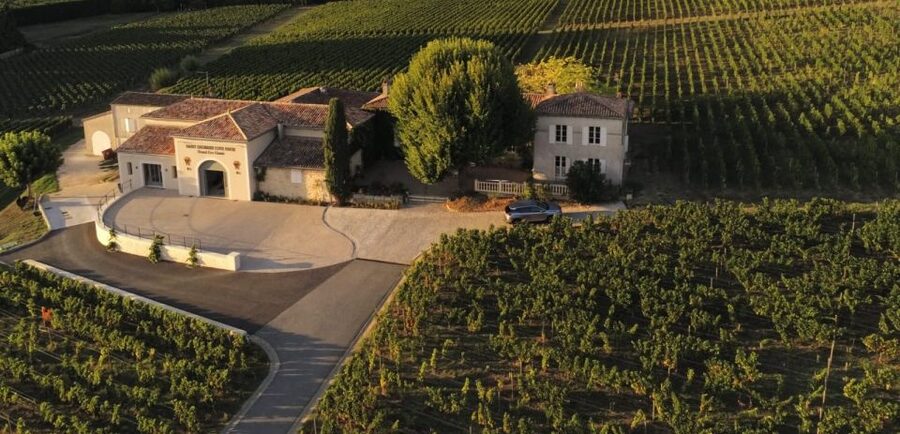 Saint-Émilion: Bordeaux Vineyard Tour and Wine Tasting - Should you book the Saint-Émilion Bordeaux Vineyard Tour with Château Saint-Georges?