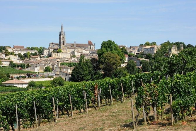 Saint-Émilion day tour: village visit, Châteaux and lunch - The van ride to Saint-Émilion: vineyard context on the way