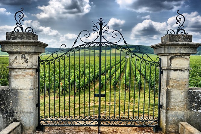 Saint Emilion Day Trip with Sightseeing Tour & Wine Tastings from Bordeaux - Pomerol tasting and cellar tour: seeing winemaking beyond the glass