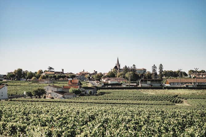 Saint-Emilion Electric Bike Day Tour with Wine Tastings & Lunch - Les Domaines De Moncets: Second Estate Visit and Tastings