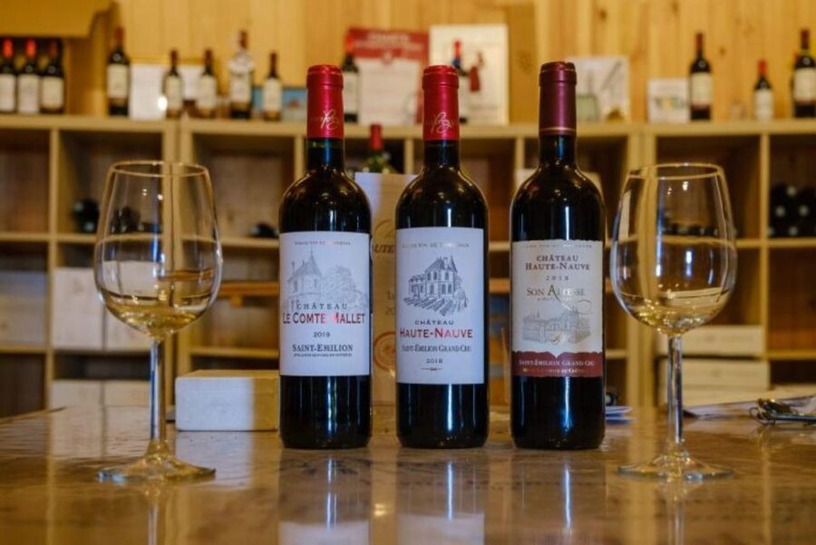 Saint-Émilion: Family Vineyard Visit with Wine Tasting - Vineyard walk: linking the Saint-Émilion grape story to real choices