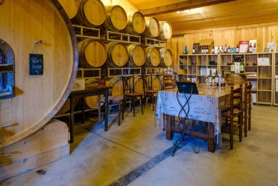 Saint-Émilion: Family Vineyard Visit with Wine Tasting - Who this tour suits best (and who might skip it)
