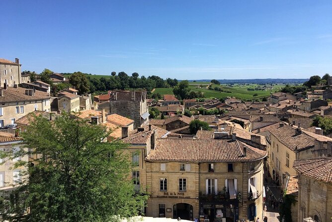 Saint Emilion Full Day Wine and Bike Tour - Picnic Lunch With Vine Views (And Wine in Your Glass)