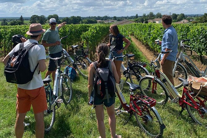 Saint Emilion Full Day Wine and Bike Tour - Family-Owned Estate Stop: Terroir Comes Into Focus