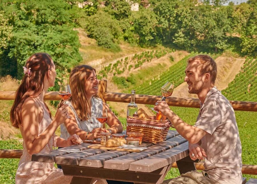 Saint-Emilion: Grand Cru Classé Guided Winery Visit & Picnic - Key points to know before you go