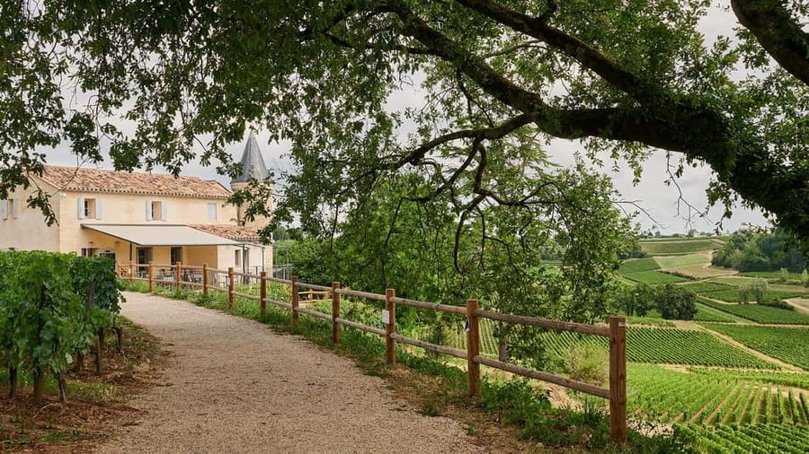 Saint-Emilion: Grand Cru Classé Guided Winery Visit & Picnic - Château Tour Baladoz: the traditional limestone stop that sets the baseline