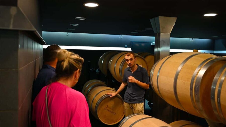 Saint-Émilion: Grand Cru Classé Winery Visit and Tasting - Should You Book This Tour?