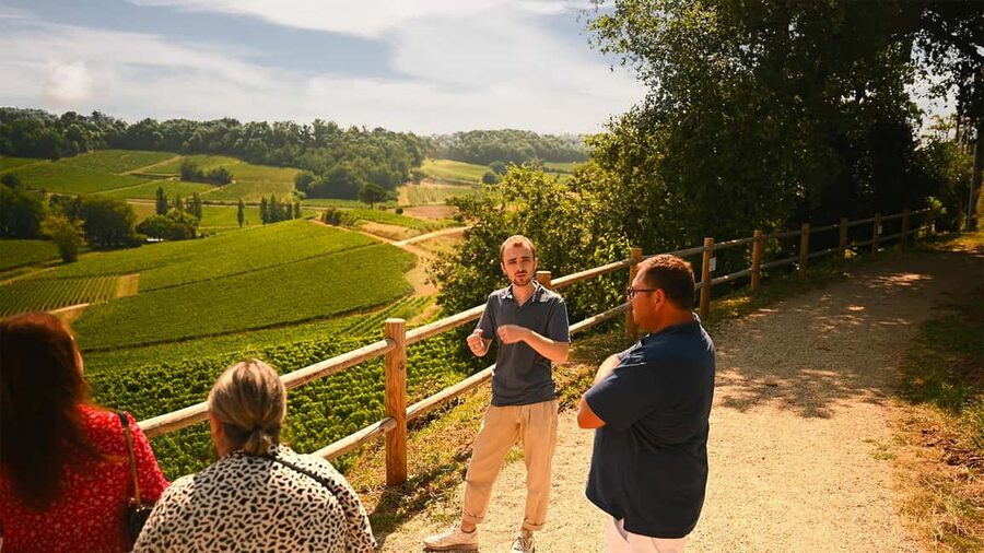 Saint-Émilion: Grand Cru Classé Winery Visit and Tasting - Saint-Émilion in One Hour: Why This Short Wine Tour Works
