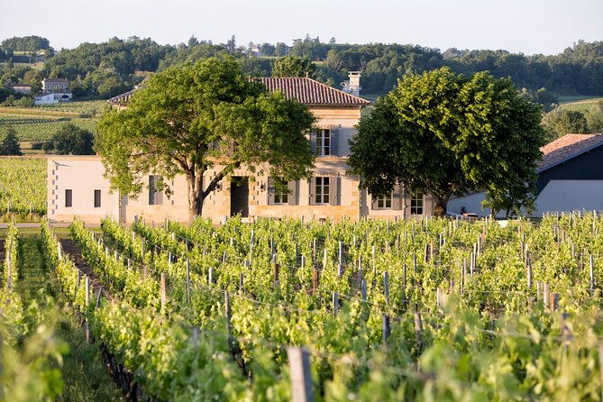 Saint Emilion Half-Day Trip with Wine Tasting & Winery Visit from Bordeaux - Free Time in Town: Make It Count with a Simple Plan