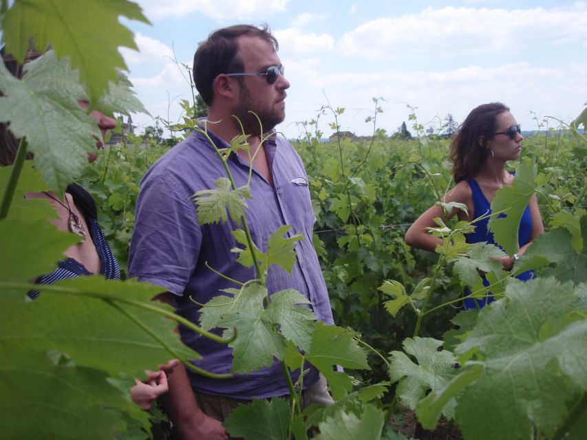 Saint-Émilion: Vineyard Walking Tour and Tasting - Key Things I’d Put on Your Short List