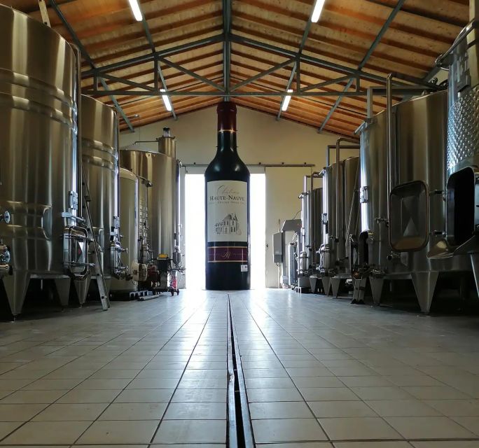 Saint-Émilion: Vineyard Walking Tour and Tasting - Inside the Vinification Cellar: Fermentation, Pumping, Pressing