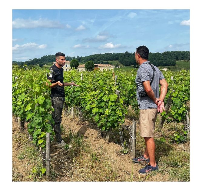 Saint-Émilion: Vineyard Walking Tour and Tasting - Should You Book the Saint-Émilion Vineyard Walking Tour at Château Haute-Nauve?