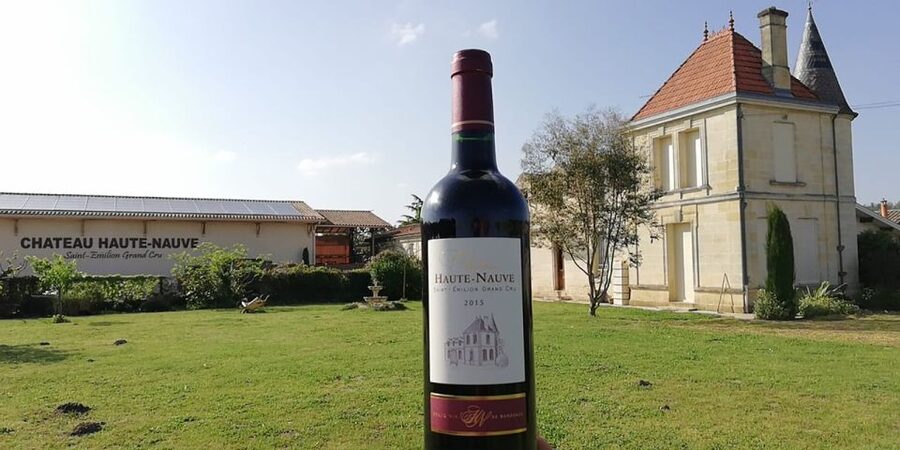 Saint-Émilion: Vineyard Walking Tour and Tasting - Walking the Saint-Émilion Vineyards with Florent or Marie-Anne