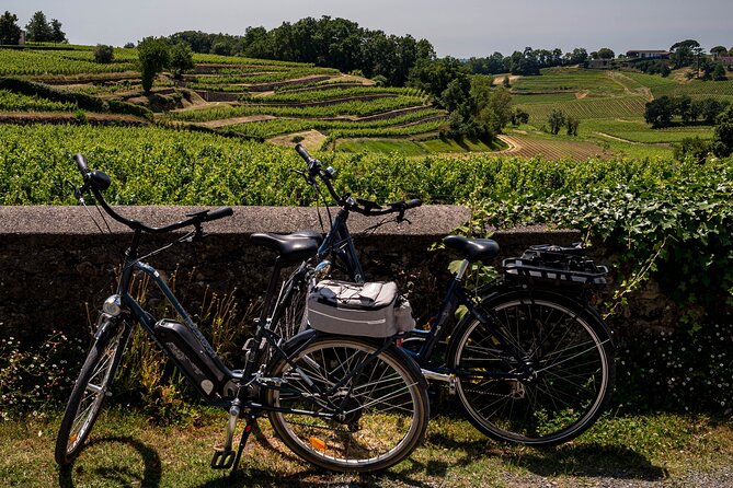Saint-Émilion Wine Tour By Premium Electric Bike, Lunch Included - Key things I’d pay attention to