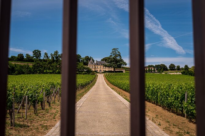 Saint-Émilion Wine Tour By Premium Electric Bike, Lunch Included - Lunch in château gardens with wine included