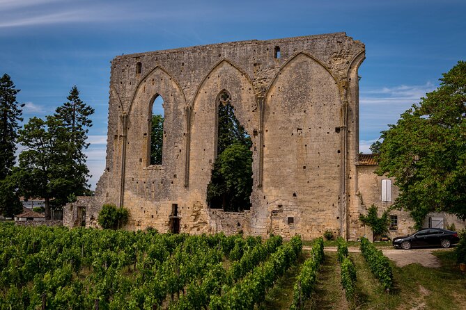 Saint-Émilion Wine Tour By Premium Electric Bike, Lunch Included - The final rhythm: tasting at the bike shop and a wine merchant