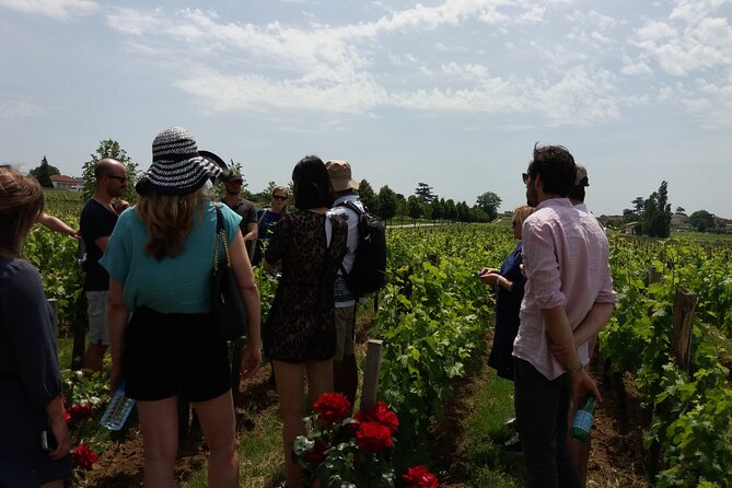 Saint Emilion Wine Tour Tasting Half Day from Bordeaux - Key Things to Know Before You Go