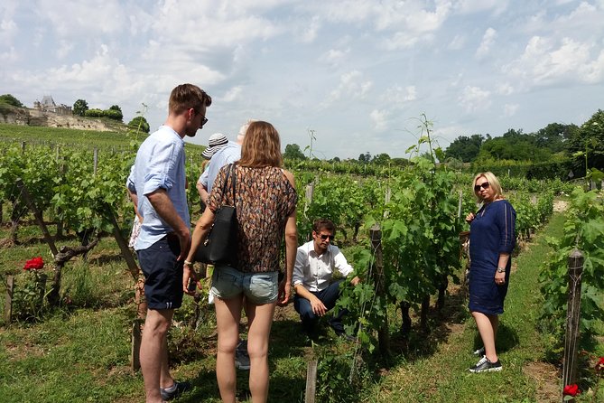 Saint Emilion Wine Tour Tasting Half Day from Bordeaux - Tastings You Can Actually Use (Plus Aperitif or Sweet Bordeaux Treats)
