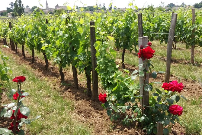 Saint Emilion Wine Tour Tasting Half Day from Bordeaux - Saint-Émilion UNESCO Village Time: Guided Highlights or Free Roam