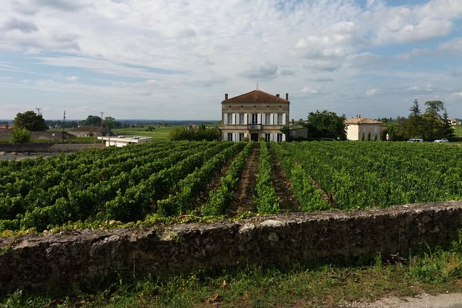 Saint Emilion Wine Tour Tasting Half Day from Bordeaux - Group Size, Comfort, and the Ones That Make or Break the Day
