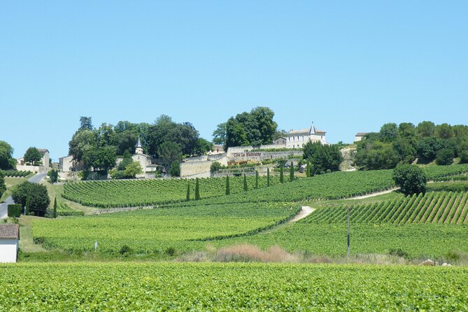 Saint Emilion Wine Tour Tasting Half Day from Bordeaux - What to Wear and Bring (So You Enjoy the Walks)