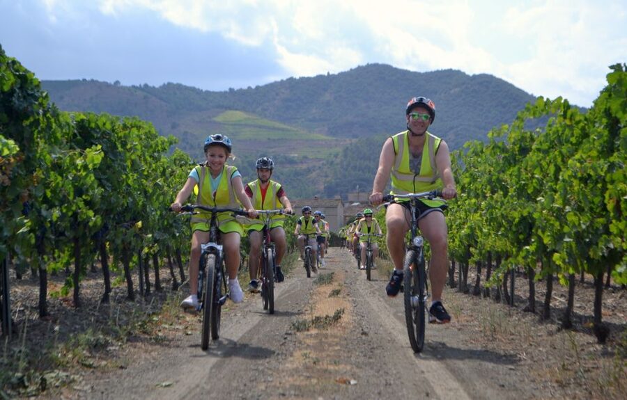 Salou: Easy Bike Tour with Wine Tasting - Money Value: Is $60 a Good Deal?