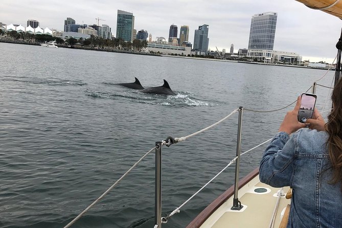 San Diego Bay Sail Aboard a Vintage Yacht Beer and Wine Included - The Bay Sights You’ll Float Past: Coronado Bridge to Naval Giants