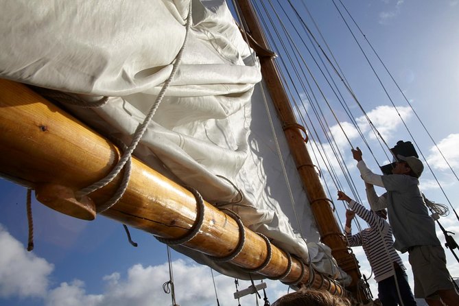 San Diego Bay Sail Aboard a Vintage Yacht Beer and Wine Included - The Rady Shell at Jacobs Park: A Concert Venue Built for Bay Views