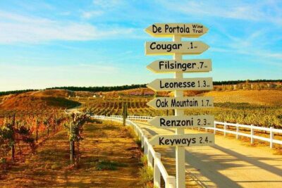 San Diego to Temecula: Wine Country Tour & Historic Old Town - Frangipani Estate Winery: patio views and lunch that actually breaks up the day