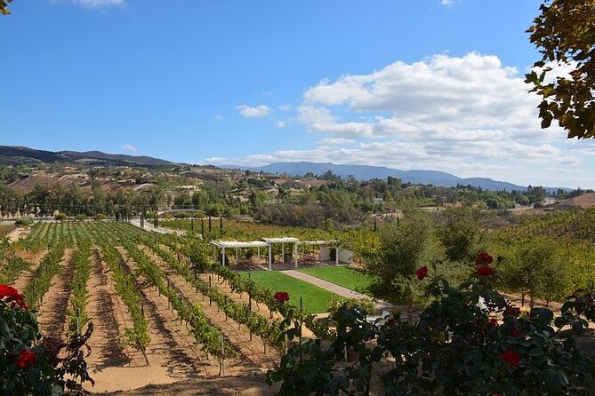San Diego to Temecula: Wine Country Tour & Historic Old Town - What to expect from lunch, tastings, and staff interaction