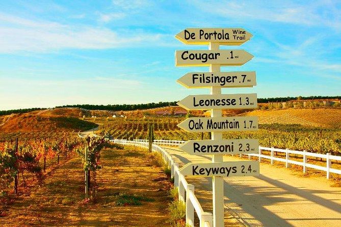 San Diego to Temecula: Wine Country Tour & Historic Old Town - Frangipani Estate Winery: patio views and lunch that actually breaks up the day