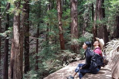 San Francisco: Armstrong Redwoods and Wine Tour with Tastings - Korbel Champagne Cellars: your included 1-hour tasting