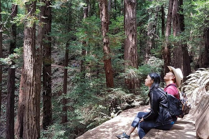 San Francisco: Armstrong Redwoods and Wine Tour with Tastings - Korbel Champagne Cellars: your included 1-hour tasting