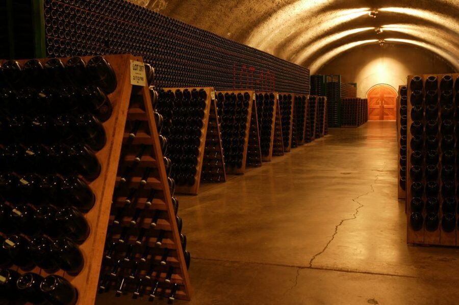 San Francisco: Guided Coastal Redwoods & Wine Country Tour - Timing and Pace: A 9-Hour Day That Works If You Plan Around Wine