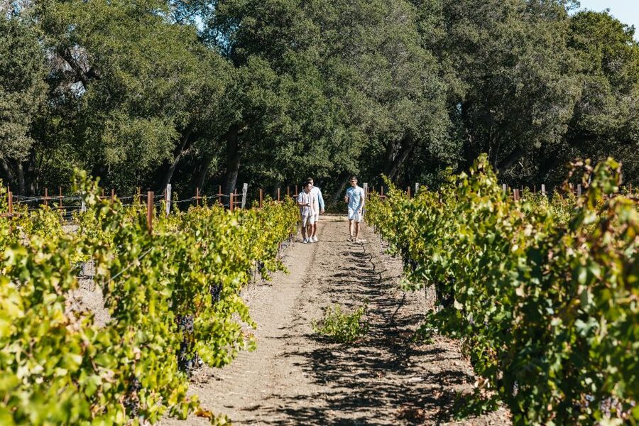 San Francisco: Half-Day Wine Country Excursion with Tastings - Sausalito Views and Photo Stops on the Way Back