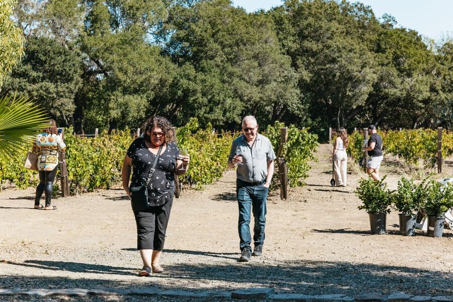 San Francisco: Half-Day Wine Country Excursion with Tastings - Value Math: Why This Price Can Make Sense