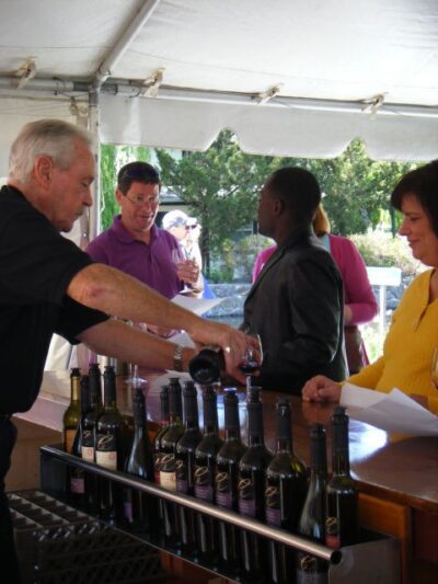 San Francisco: Half-Day Wine Country Tour with Wine Tastings - Napa and Sonoma wine stops: what the two tastings usually deliver