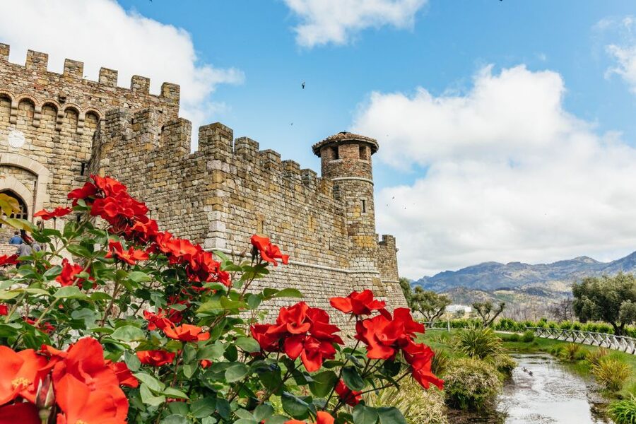 San Francisco: Luxury Small-Group Wine Tour of Napa Valley - Key Highlights You’ll Really Feel