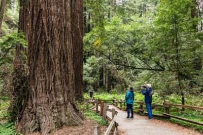 San Francisco: Muir Woods, Napa & Sonoma Valley Wine Tour - The Golden Gate Bridge Loop and the Bus Time That Counts