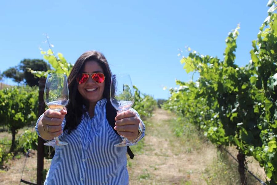 San Francisco: Napa and Sonoma Valley Wine Tour - Key highlights worth knowing